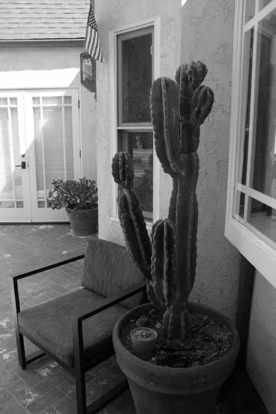 Blackburn Recovery sober living home in Cheviot Hills, photo 23