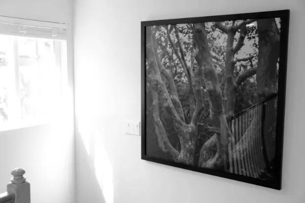 Blackburn Recovery sober living home in Mar Vista, photo 59