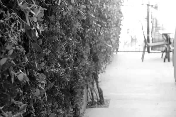 Blackburn Recovery sober living home in Mar Vista, photo 73